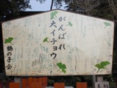 110217ギャラクシーツアー (17).JPG