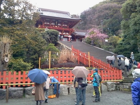 kamakura.jpg