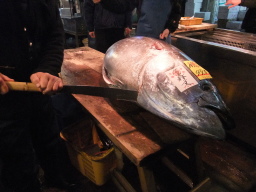 tsukiji2.jpg